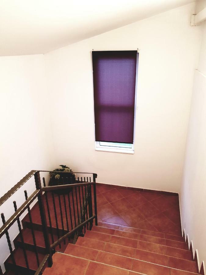 Apartments Petrovic Pirovac Extérieur photo